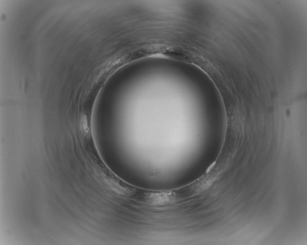 X0000076050089200609221109
