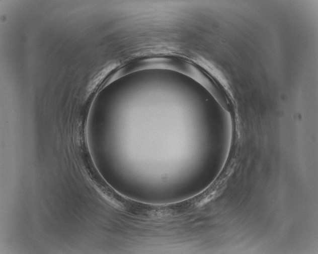 X0000076050105200609221108