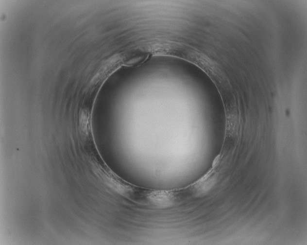 X0000076050142200609221107