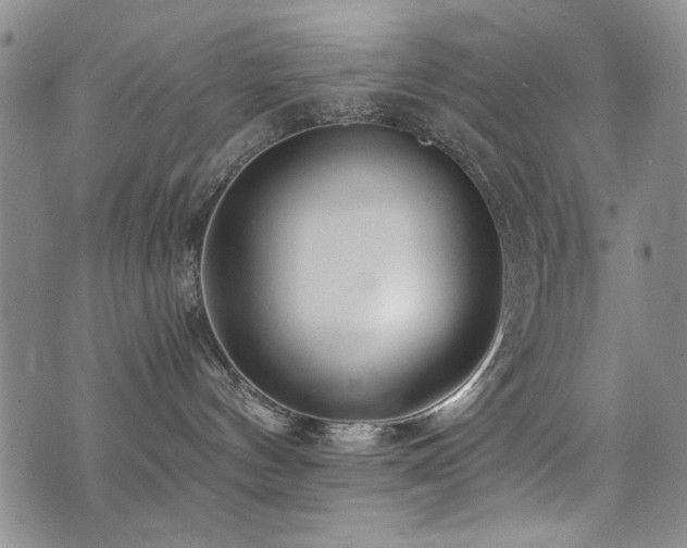 X0000076050144200609221107