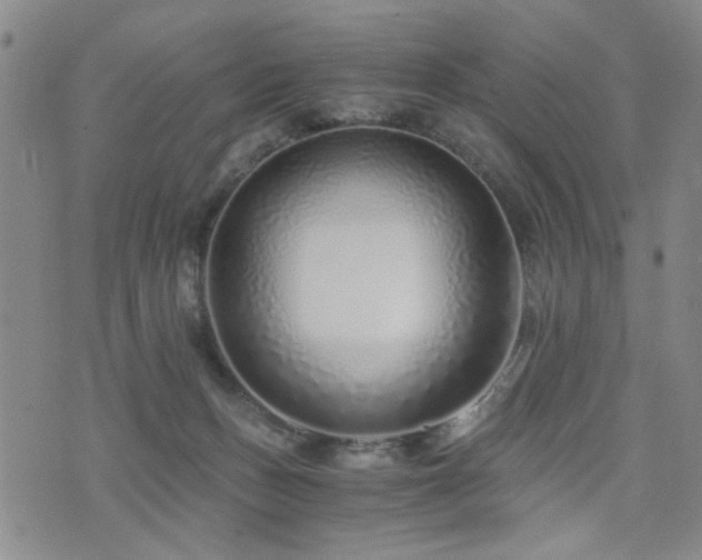 X0000076050175200609221107
