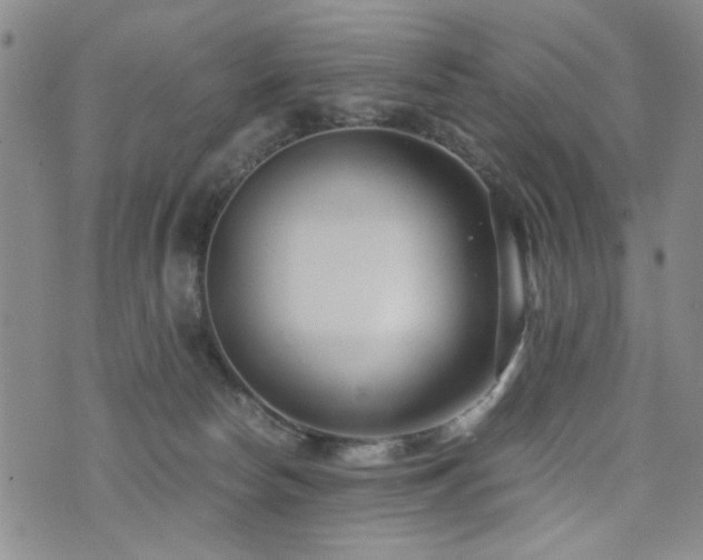 X0000076050178200609221107