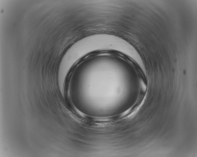 X0000076050190200609221107