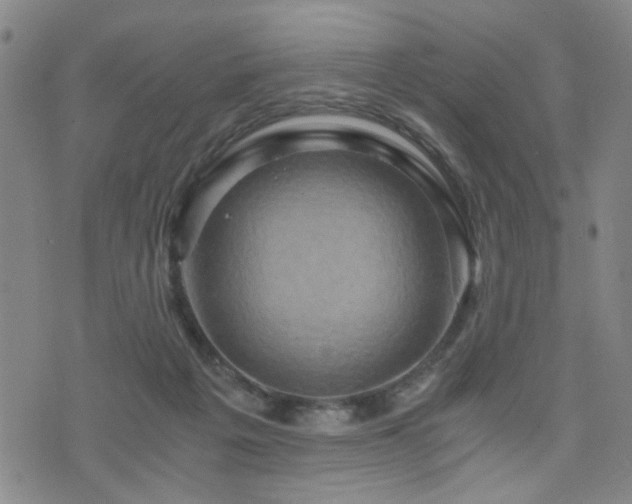 X0000076050217200609221106