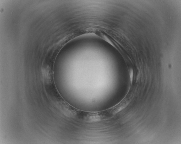 X0000076050228200609221106