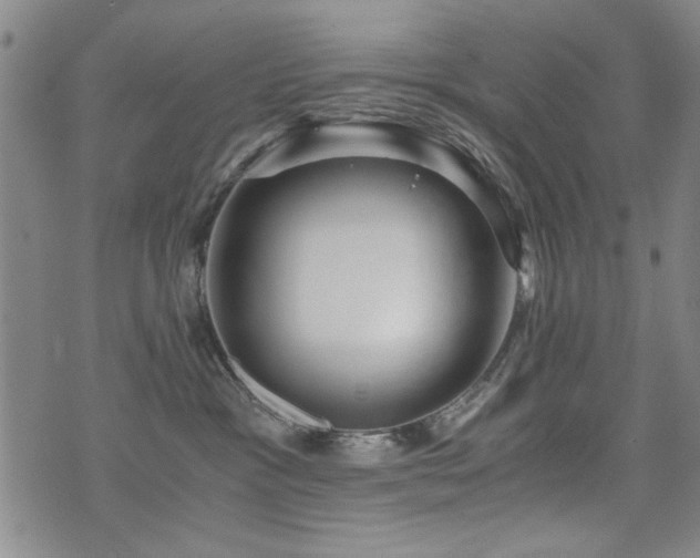 X0000076050333200609221104