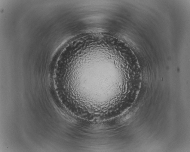 X0000076050351200609221104