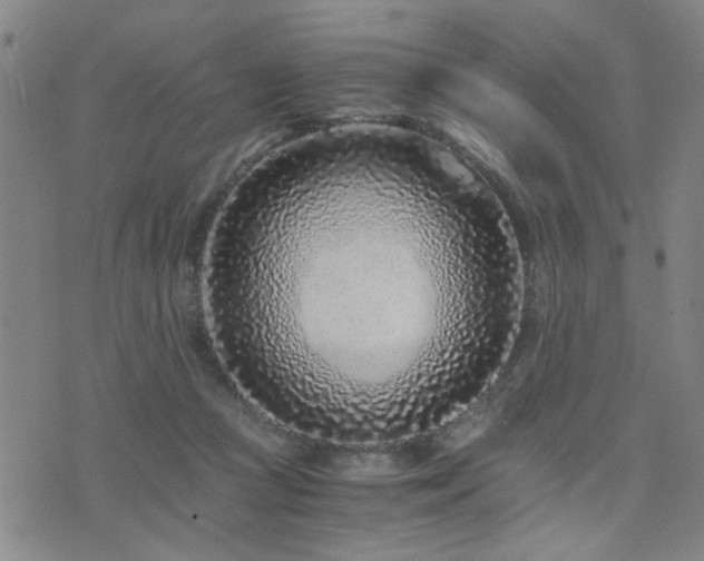X0000076050361200609221104