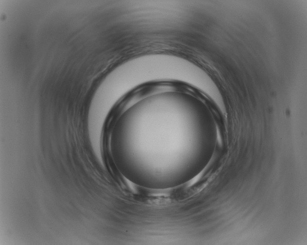 X0000076050362200609221104