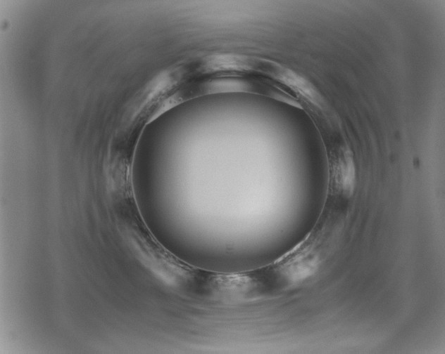 X0000076050429200609221103