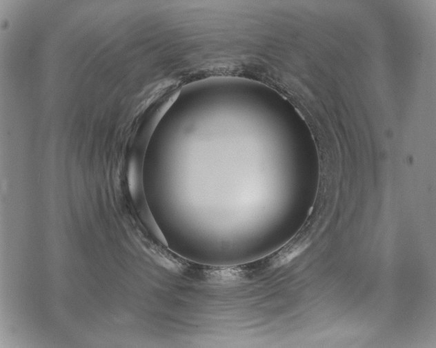 X0000076050432200609221103