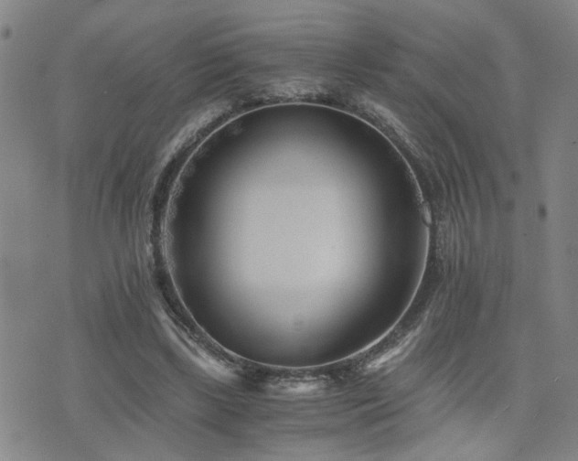 X0000076050443200609221102