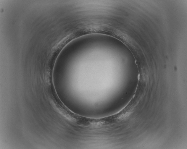 X0000076050450200609221102