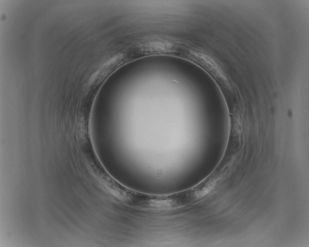 X0000076050457200609221102