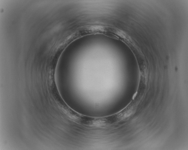 X0000076050462200609221102