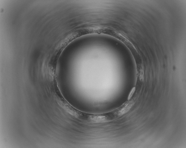 X0000076050476200609221102