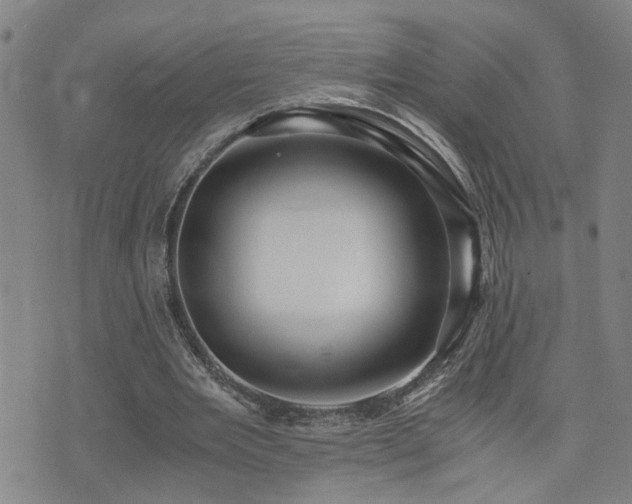 X0000076050485200609221102
