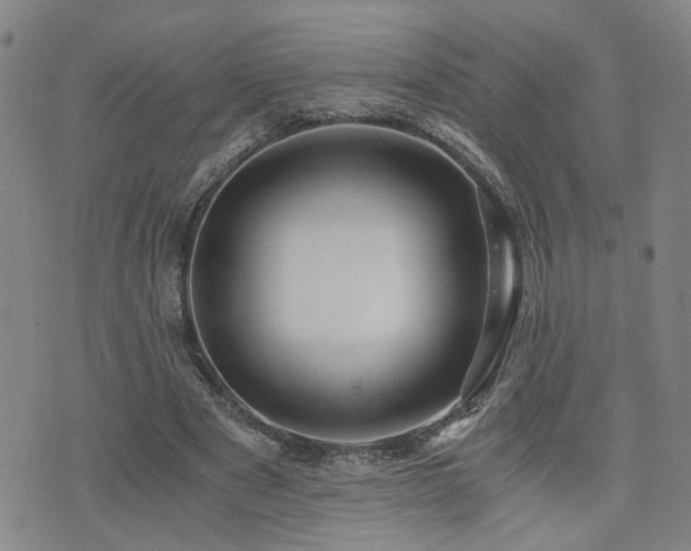 X0000076050489200609221102