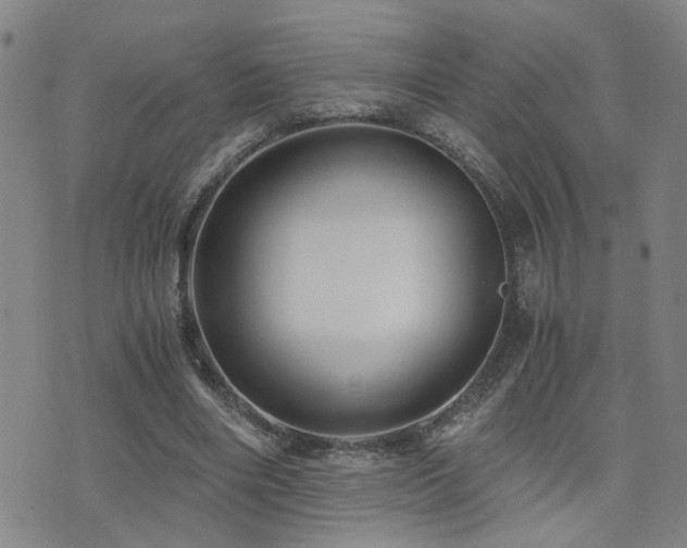 X0000076050490200609221102