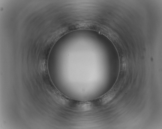 X0000076050514200609221101