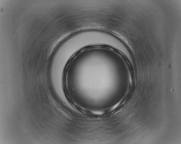 X0000076050535200609221100