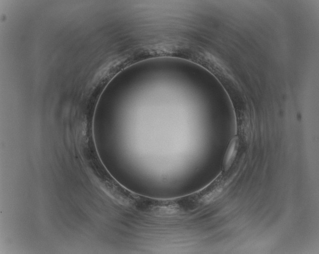 X0000076050548200609221100