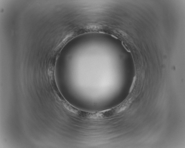 X0000076050576200609221101