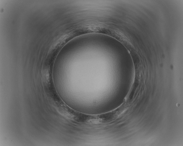 X0000076050595200609221100