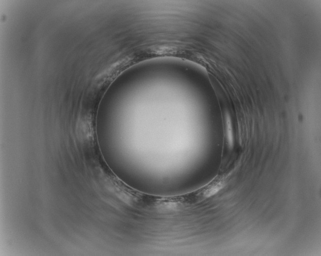 X0000076050620200609221059