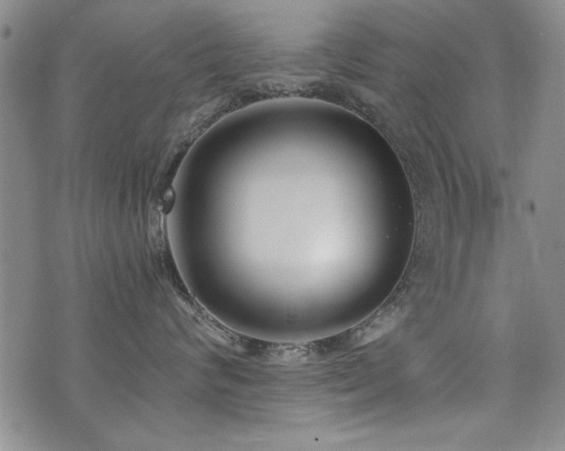 X0000076050624200609221059