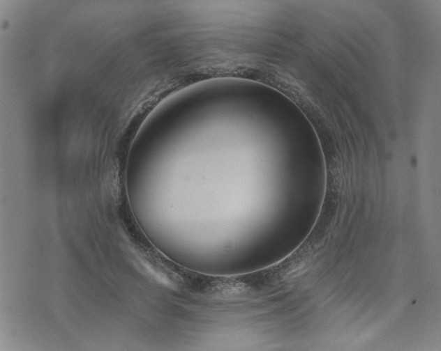 X0000076050642200609221059