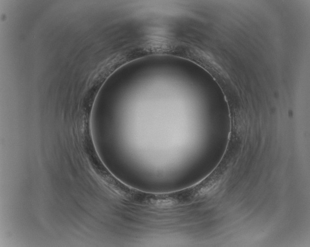X0000076050645200609221059