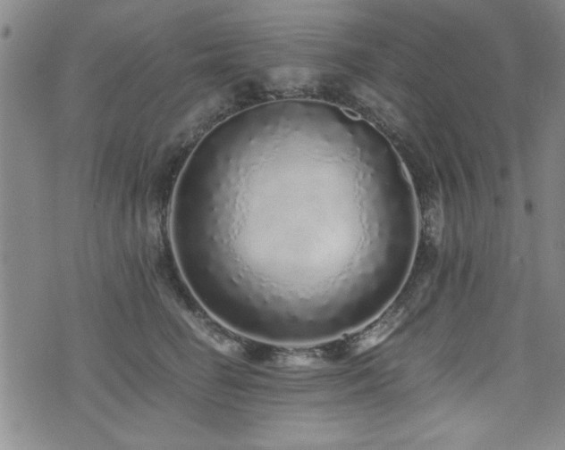 X0000076050662200609221059
