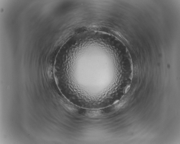 X0000076050671200609221059