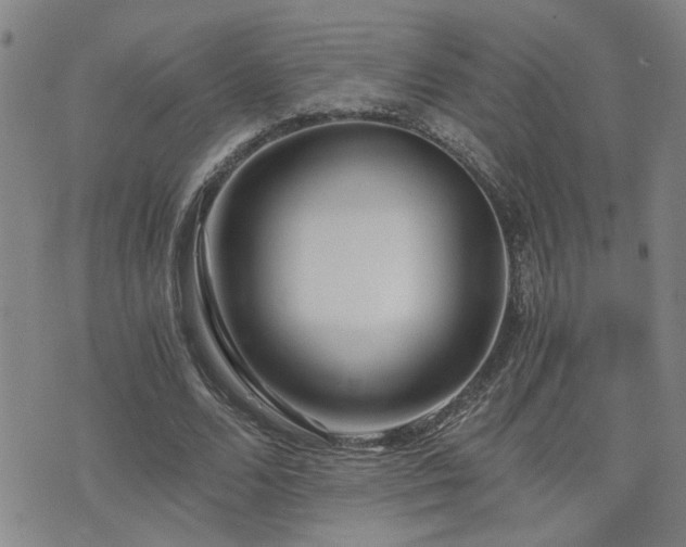 X0000076050680200609221058