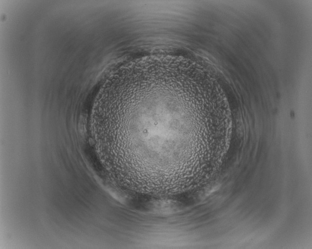 X0000076050695200609221058