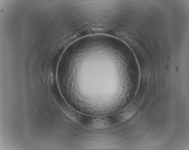 X0000076050703200609221058