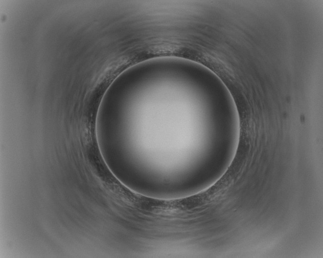 X0000076050743200609221057