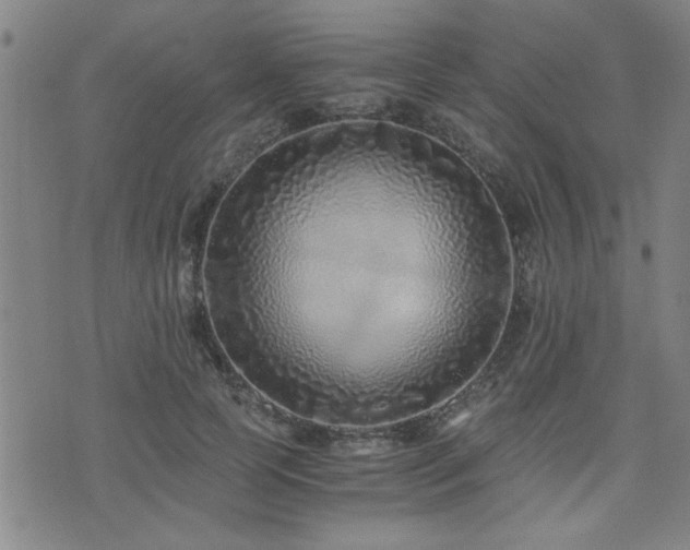 X0000076050745200609221057