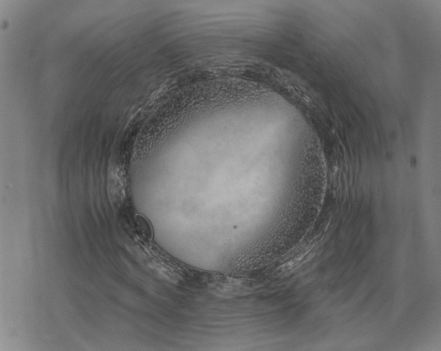 X0000076050772200609221057