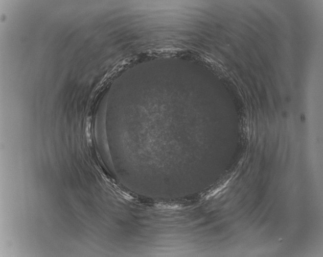 X0000076050818200609221055