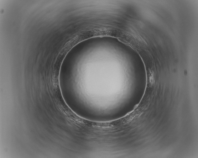 X0000076050819200609221055