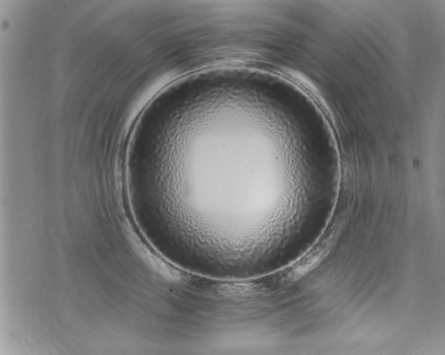 X0000076050859200609221056