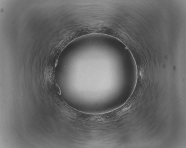 X0000076050867200609221055