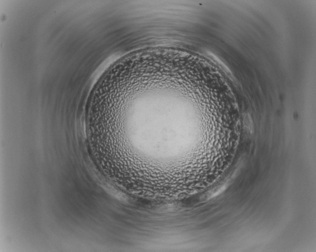 X0000076050891200609221055