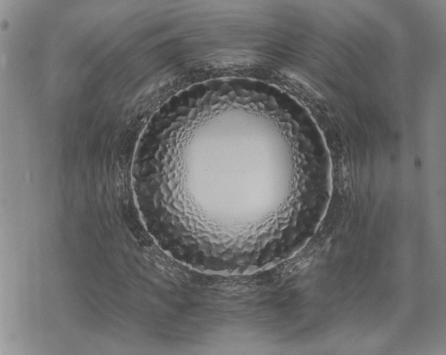 X0000076050917200609221054