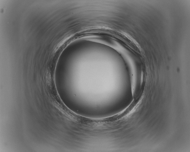 X0000076050969200609221054
