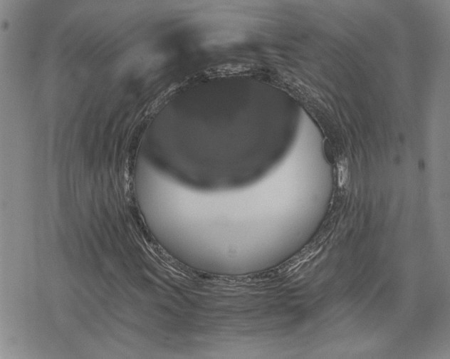 X0000076051011200609221052