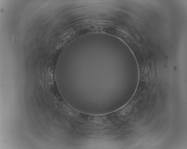 X0000076051013200609221052