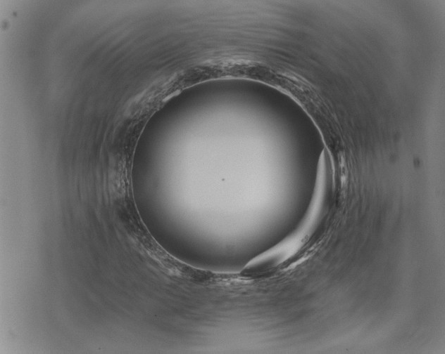X0000076051014200609221052